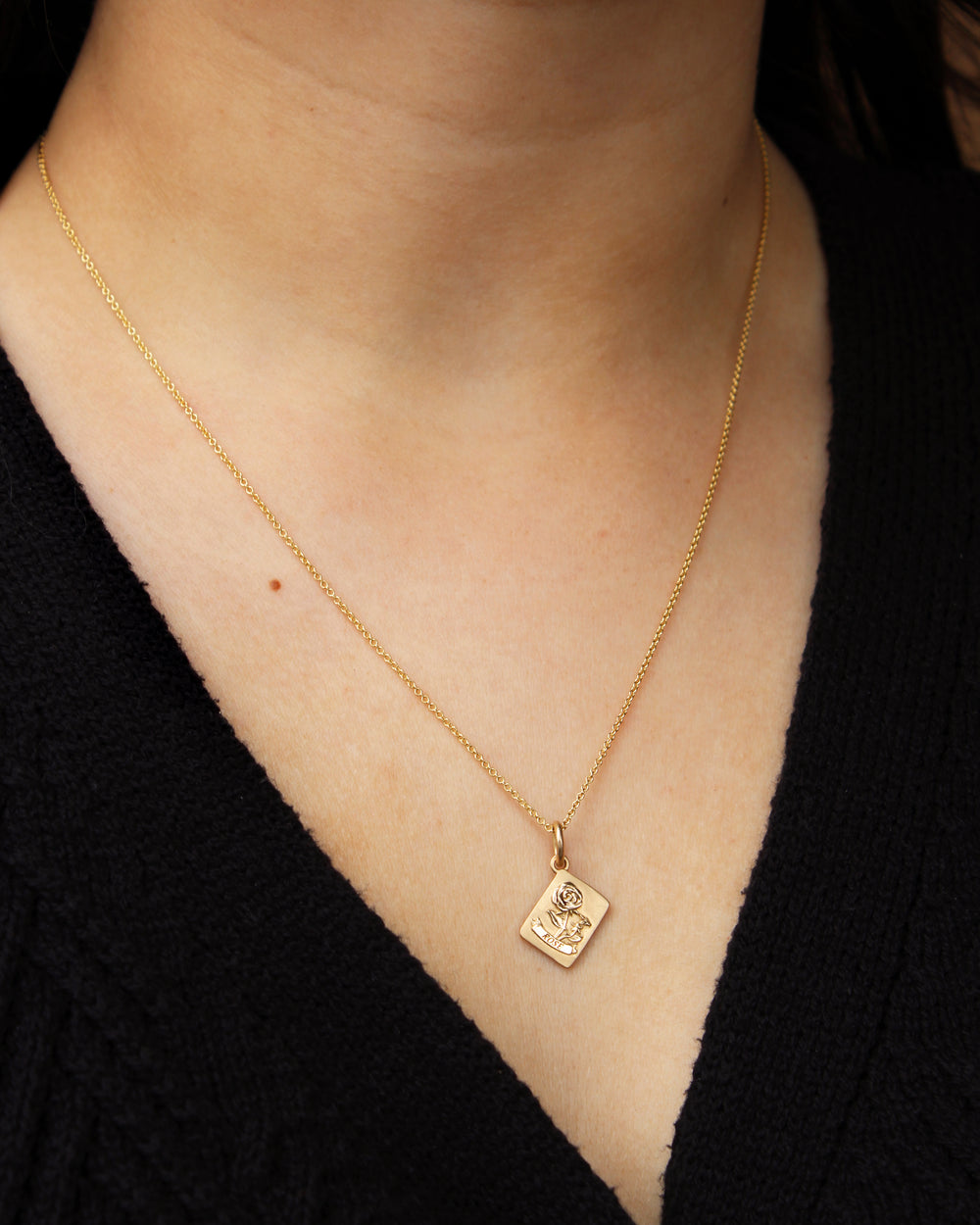 Cosmos Golden Seed Packet Pendant