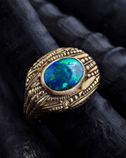 Alex Sepkus Trunk Show