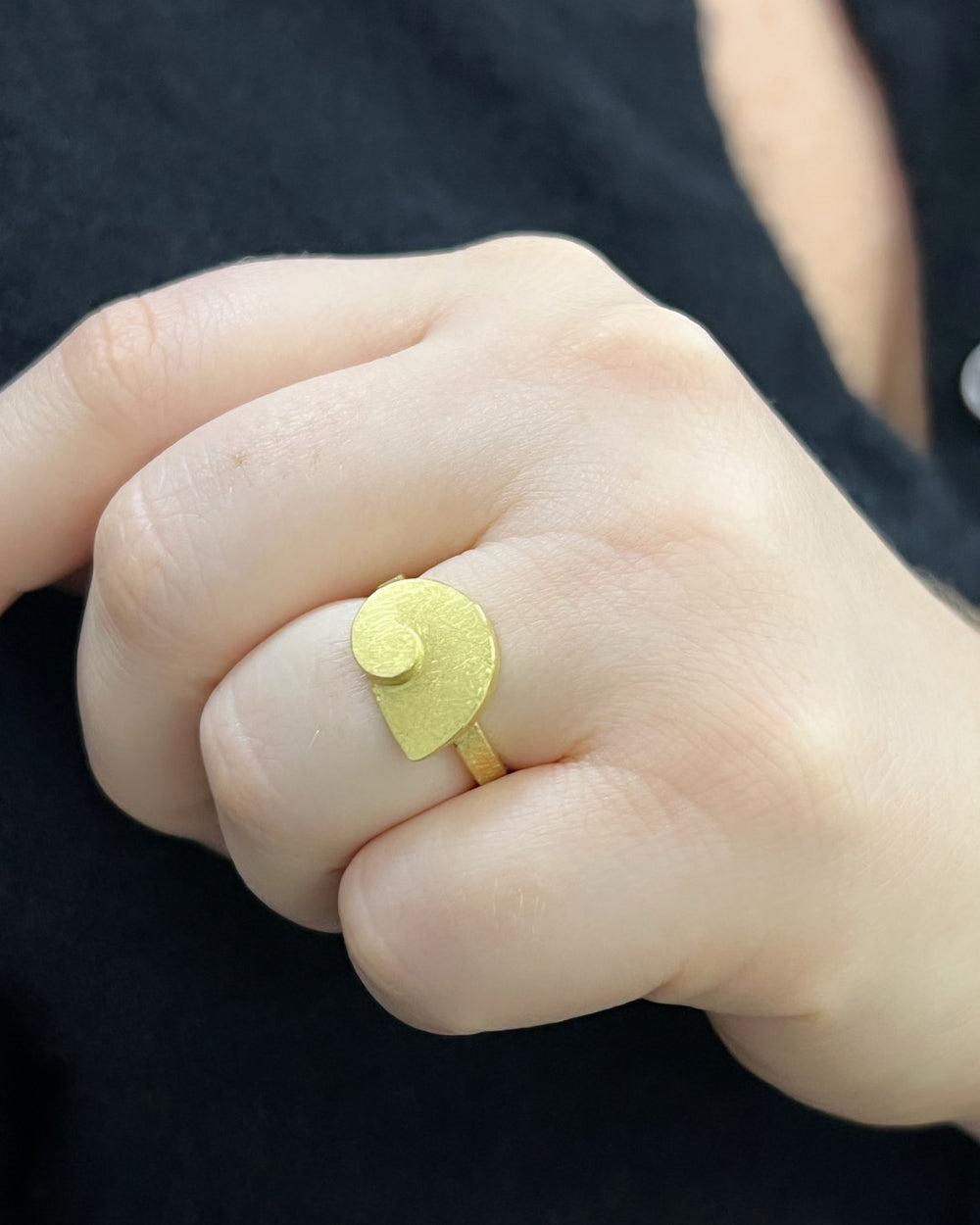Gold Nautilus Band
