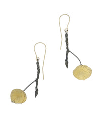 Quaking Aspens