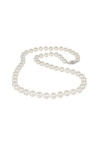 18" Akoya Pearl Necklace