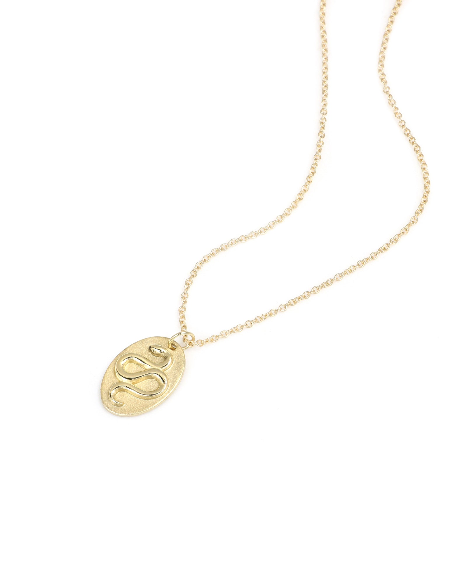 Snake Pendant