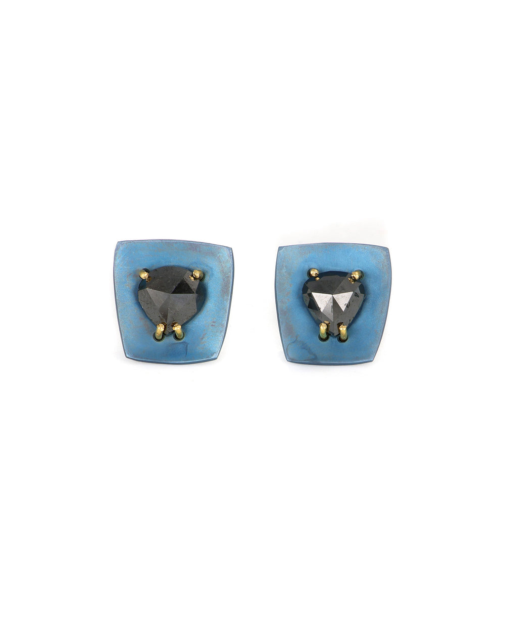Titanium Black & Blue Stud Earrings
