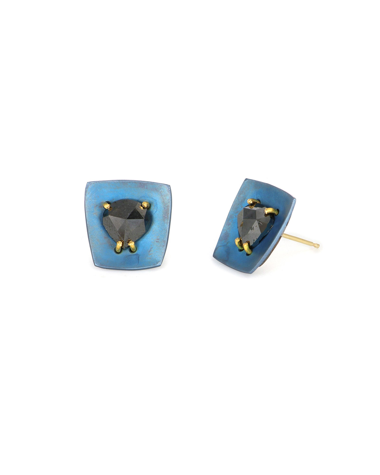 Titanium Black & Blue Stud Earrings