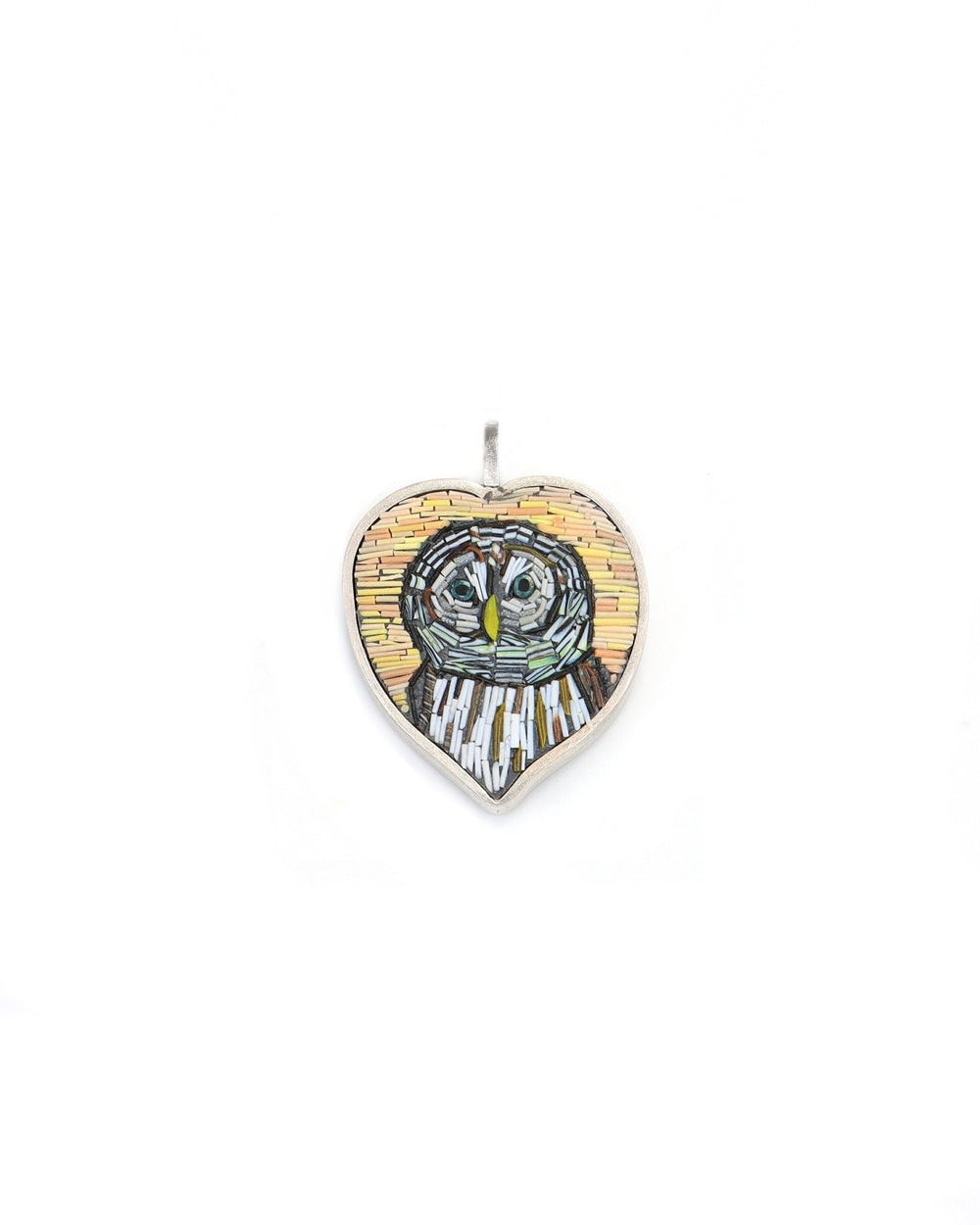 Barred Owl