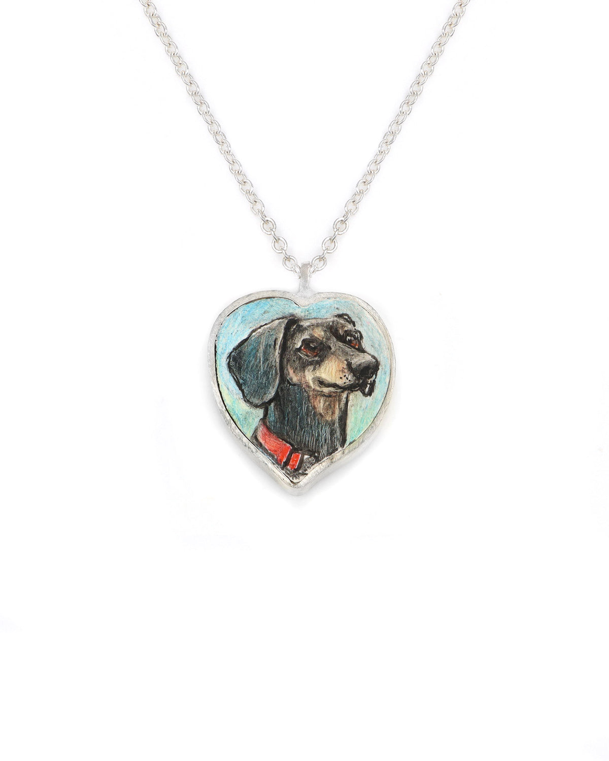 Dachshund