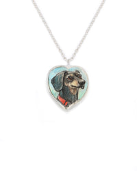 Dachshund