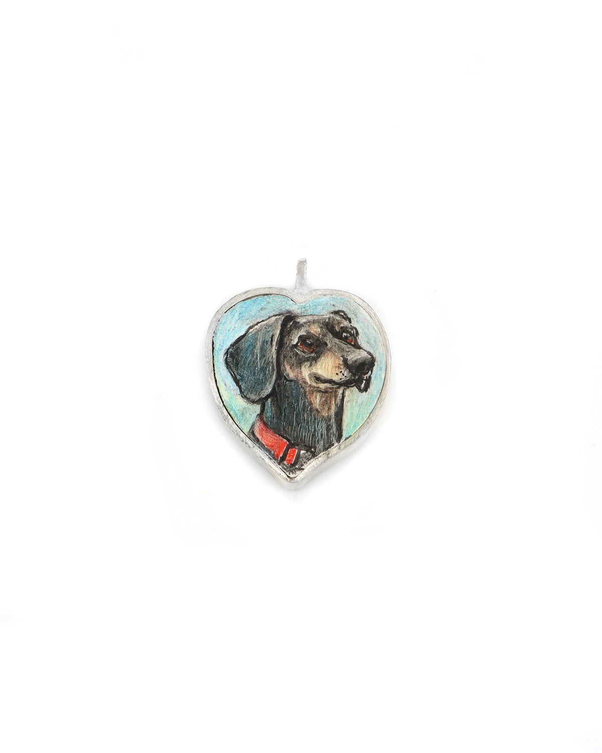 Dachshund