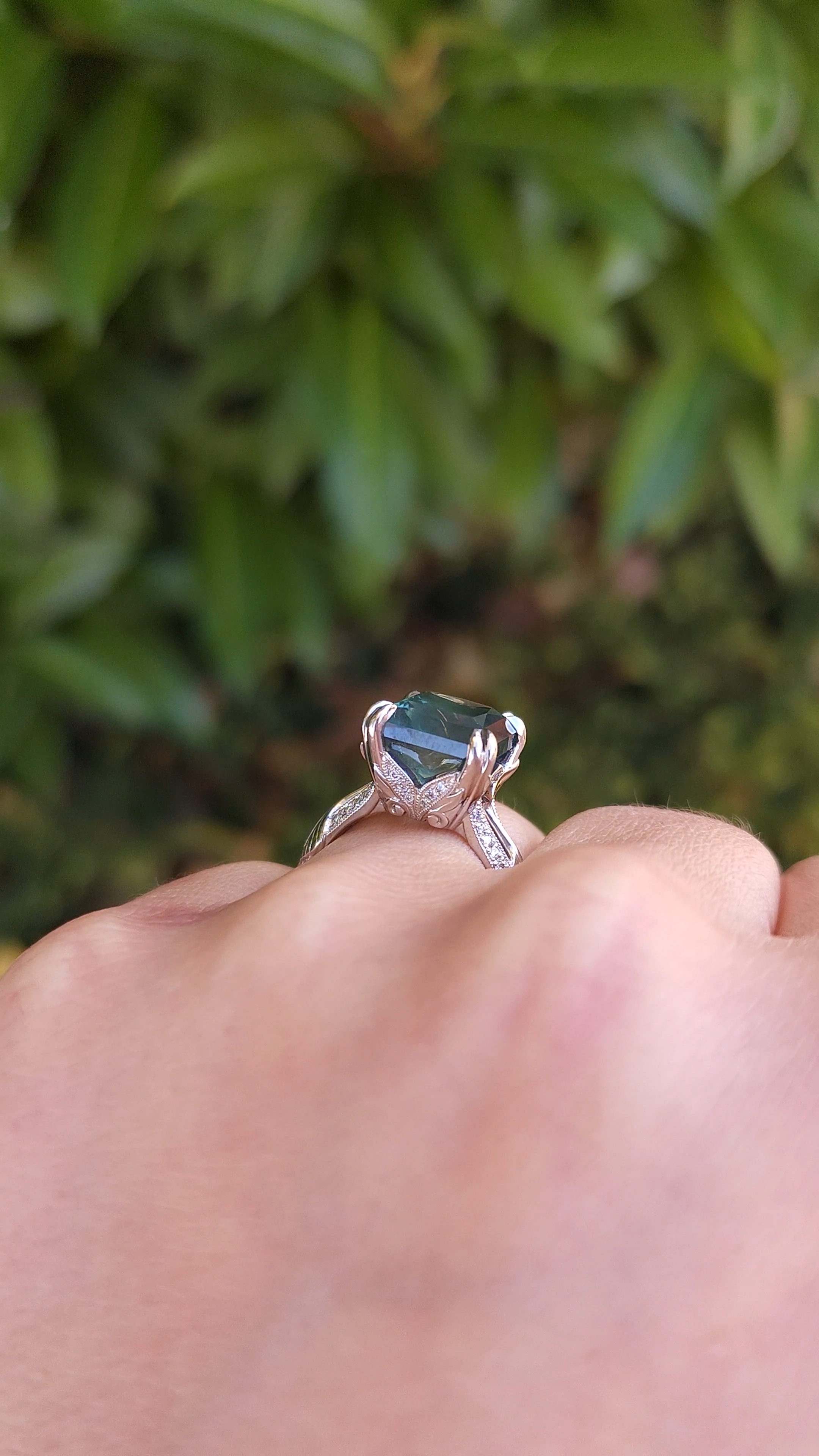 Ginkgo Montana Sapphire Ring