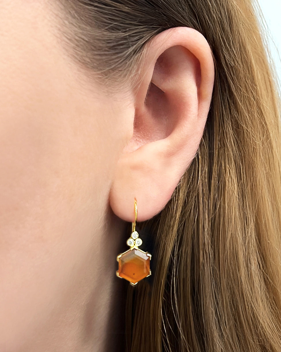 Amber Montana Agate Earrings