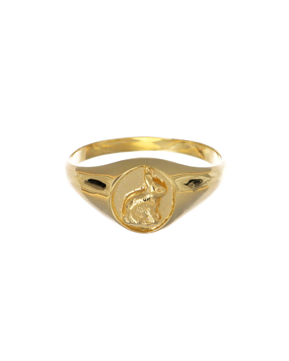 Signet Ring | Gold & Silver Signet Rings for Men & Women – Green Lake ...